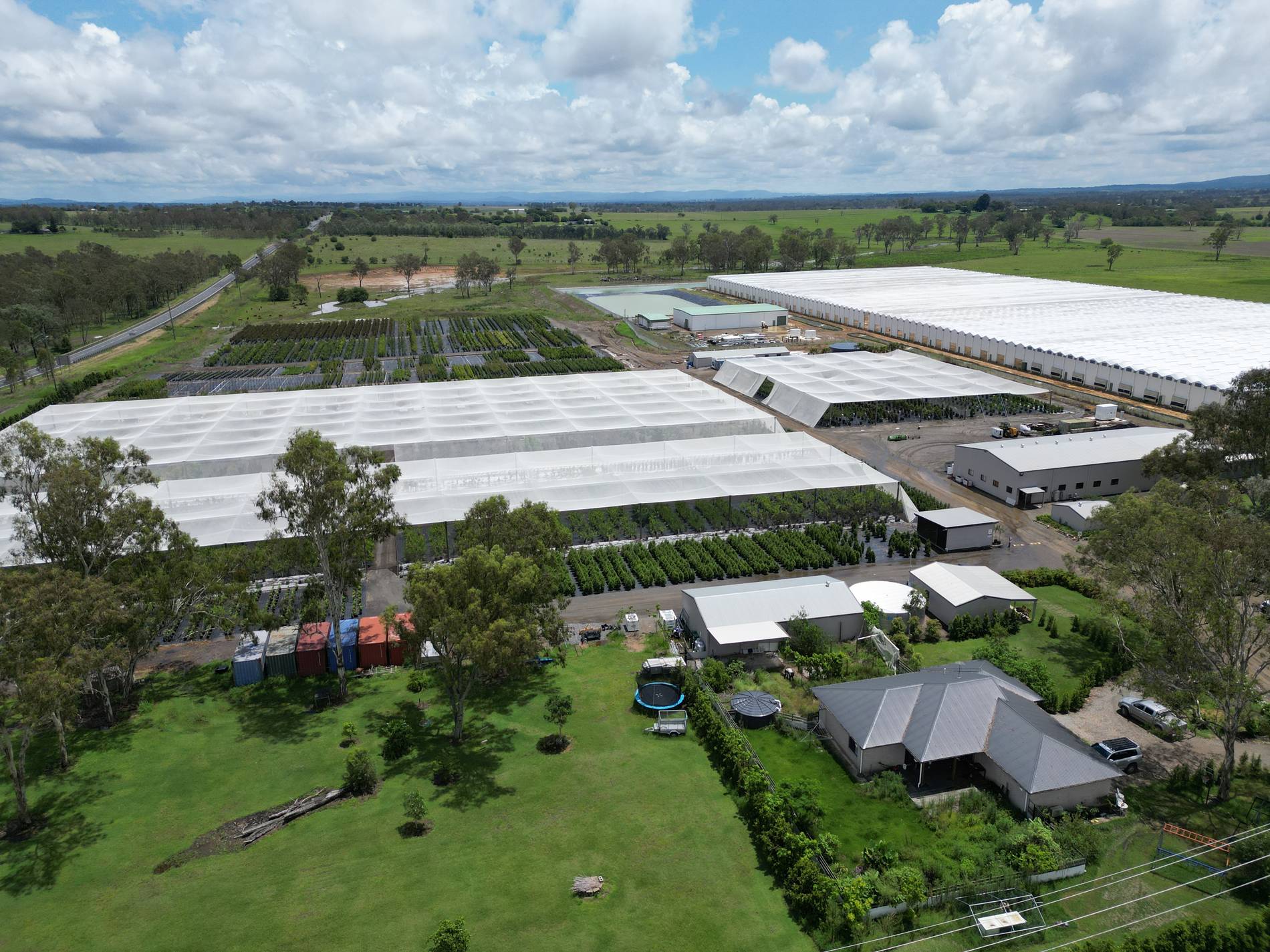The growing rows and sheds